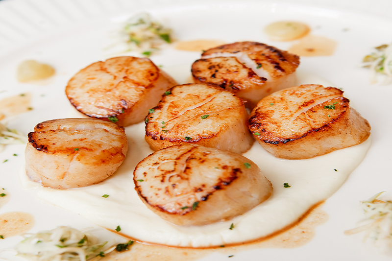 Fresh Scallops - 10 lb box, 10-20 per lb, Free Shipping